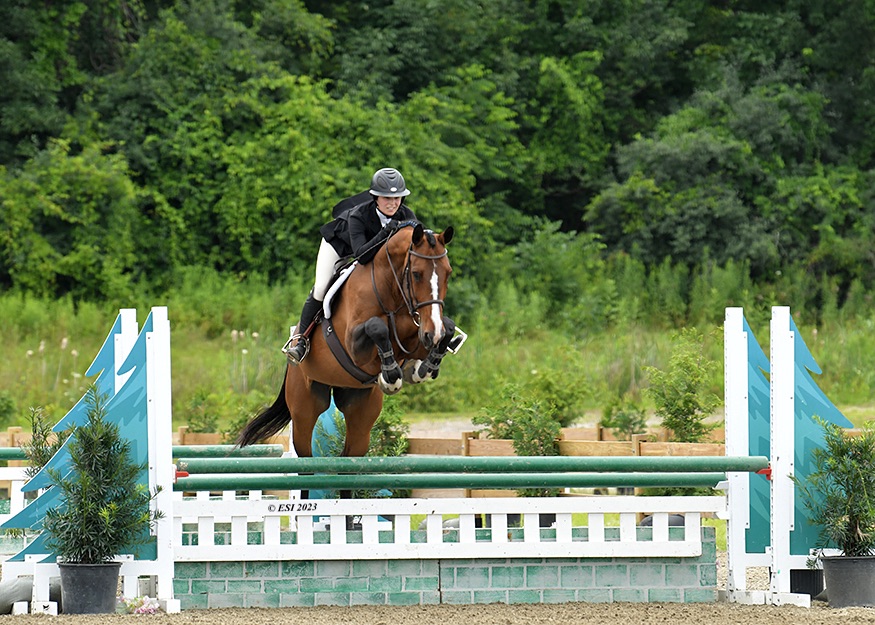 380_lowresolutionfile_321mmm_1076_sousa